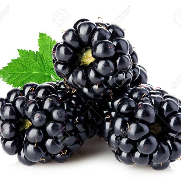 Blackberry PP 150grm